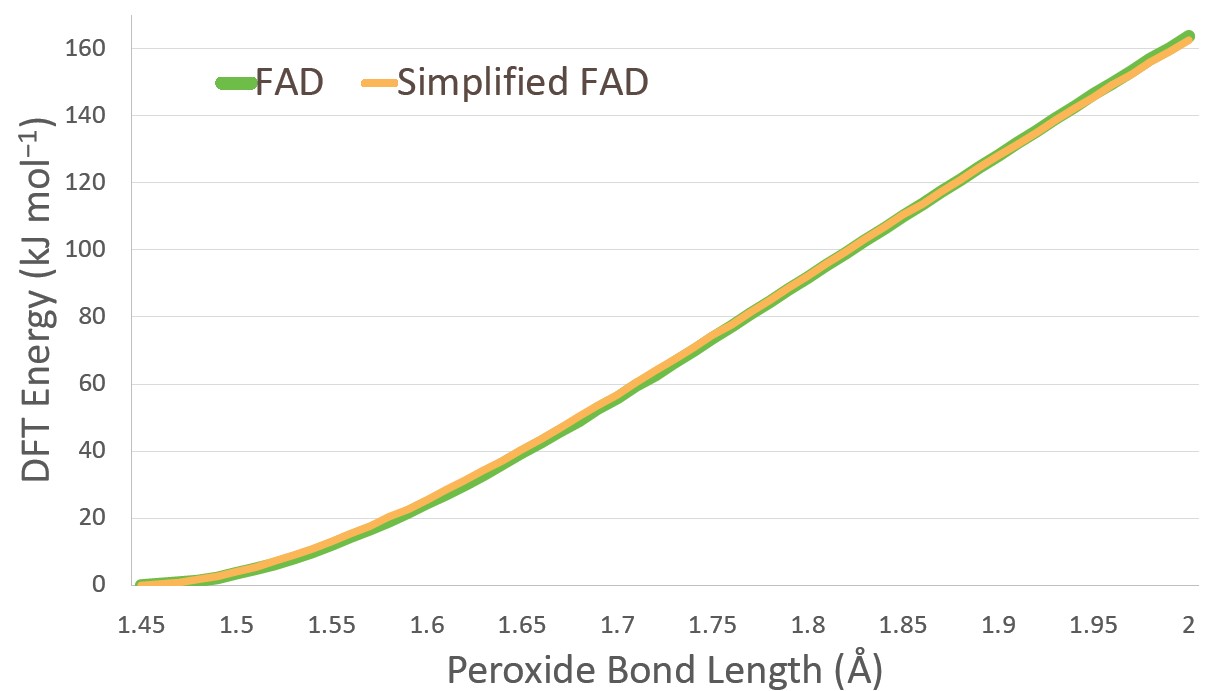 Figure 3. Comparison of peroxide bond-stretching energy between FAD peroxide and the simplified FAD peroxide analogue used herein.