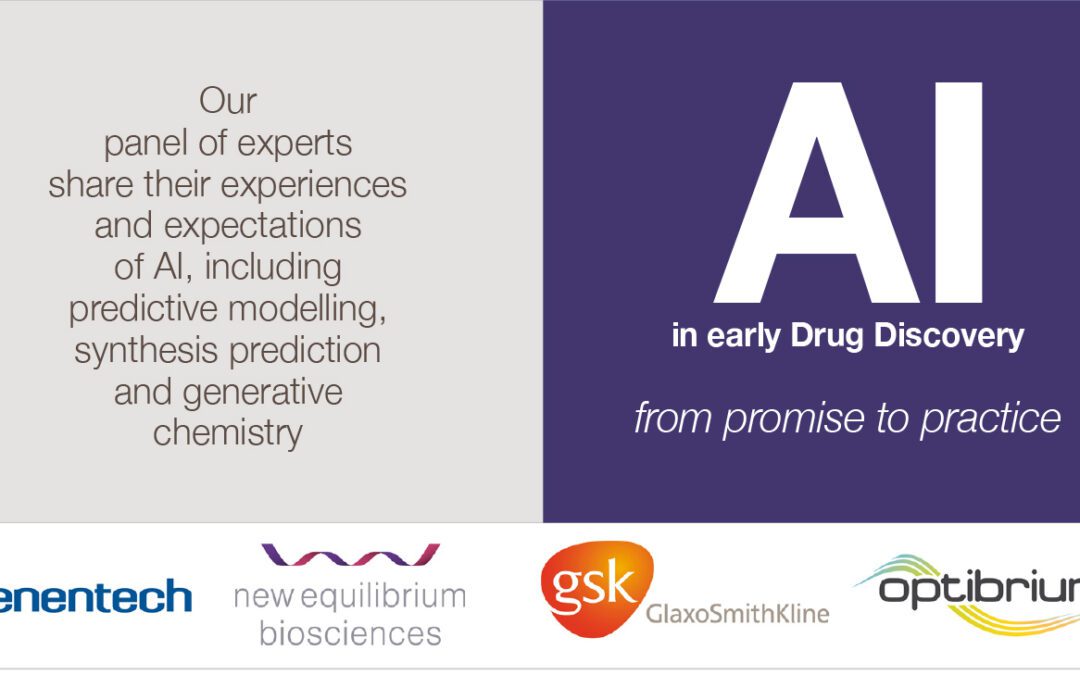 AI in early Drug Discovery: From Promise to Practice