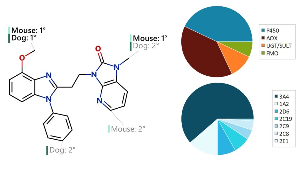 Regioselectivity and WhichEnzyme models for PDE10A, enabling Phase I and II metabolism prediction