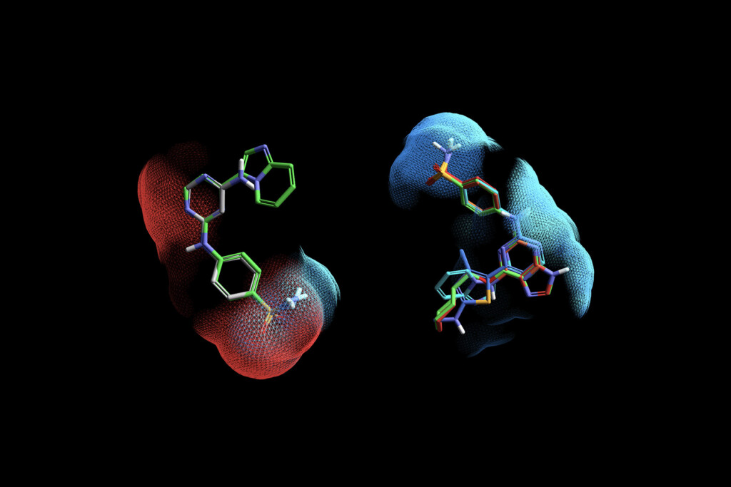Understand your structure-activity relationships in 3D