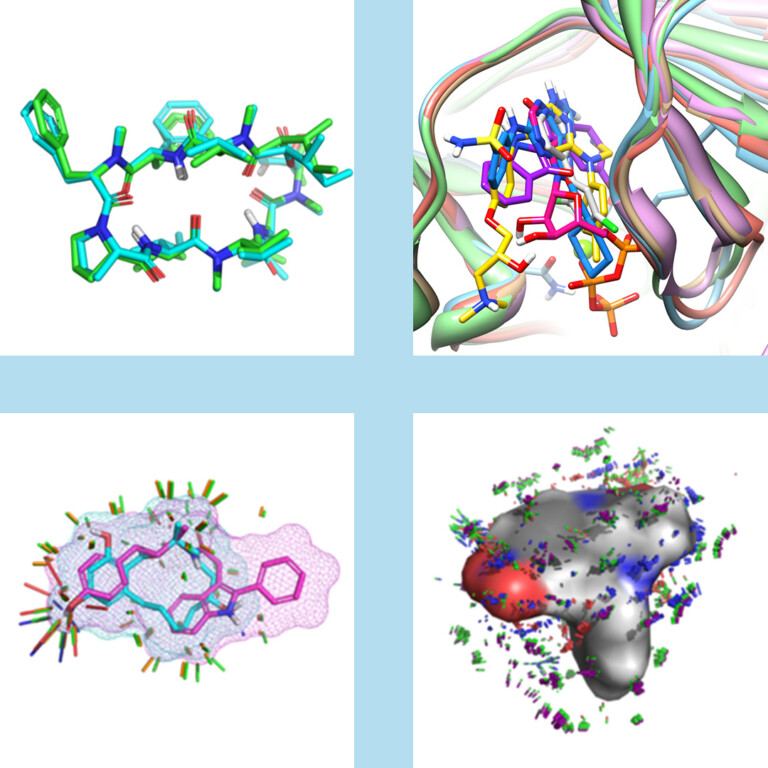 Images generated by the BioPharmics platform for 3D drug design