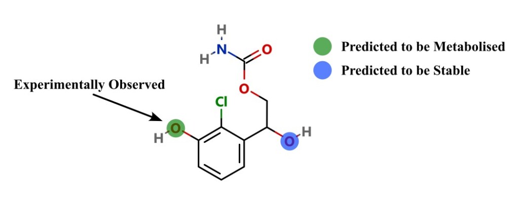 Graphical abstract of paper on SULT metabolism prediction