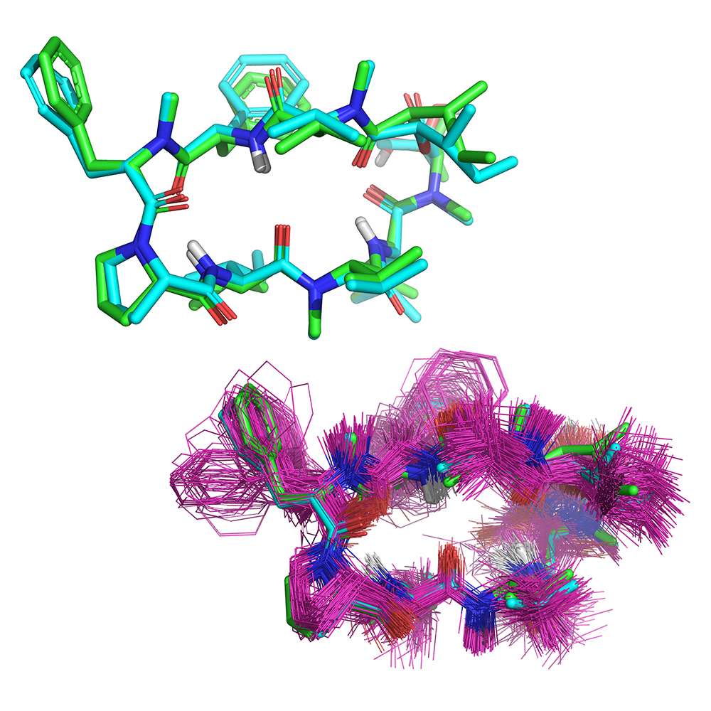 The BioPharmics Platform can help you to model macrocycles. Apply biophysical constraints, identify likely conformational ensembles, and predict properties.