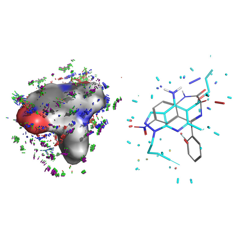 A QuanSA pocket field model