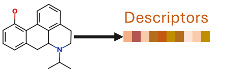 From a molecular structure, molecular descriptors can be generated.