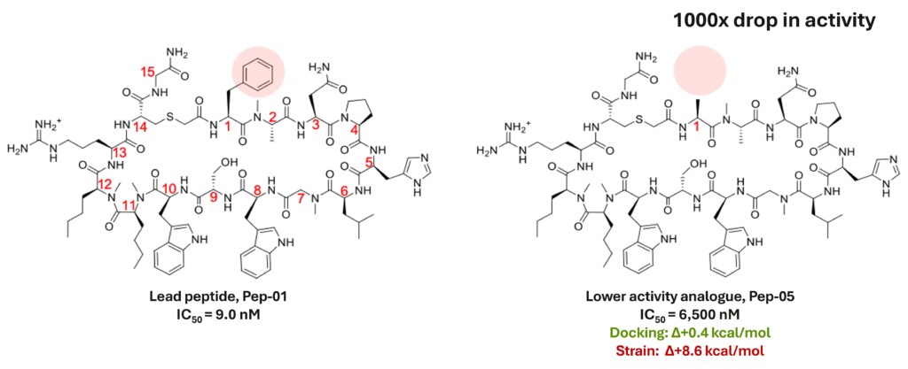 Strain as a predictor of binding